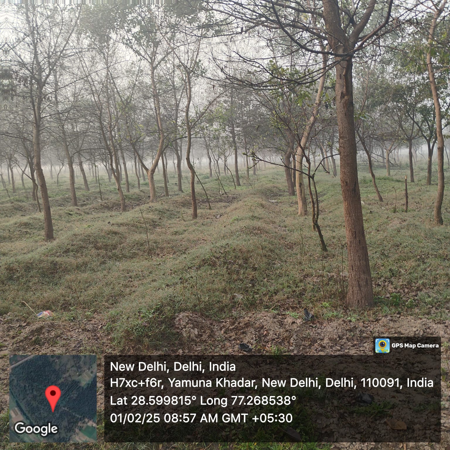 Compensatory Afforestation
